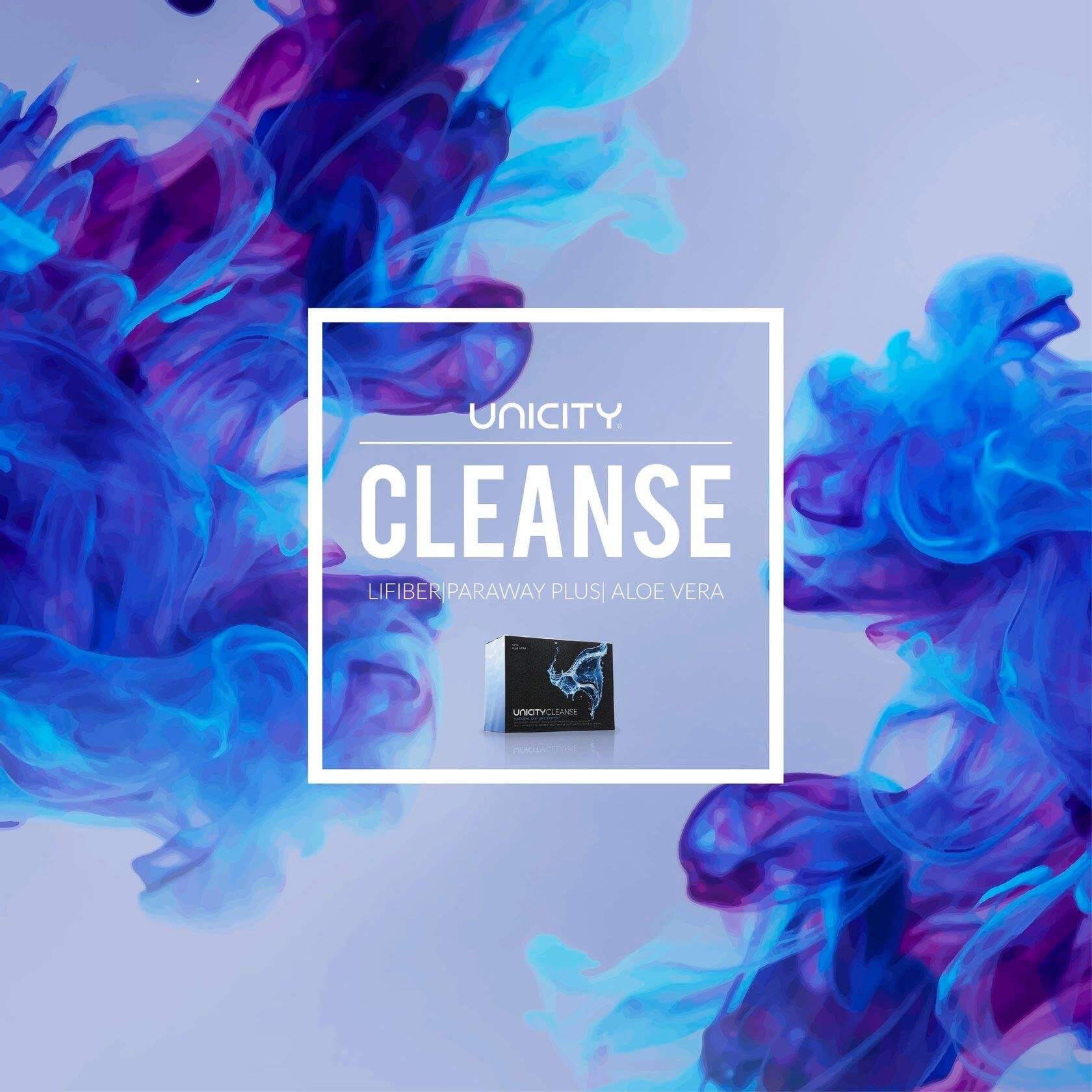 Cleanse3